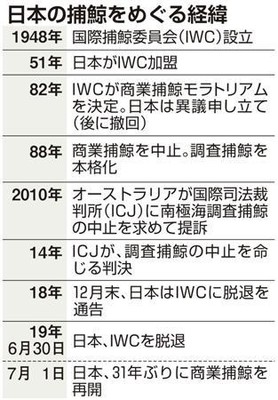 商業捕鯨再開で法改正へ 超党派で提出 食文化継承、利用促進
