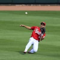 Cincinnati's Shogo Akiyama slides to make a catch during the fourth inning. | AP