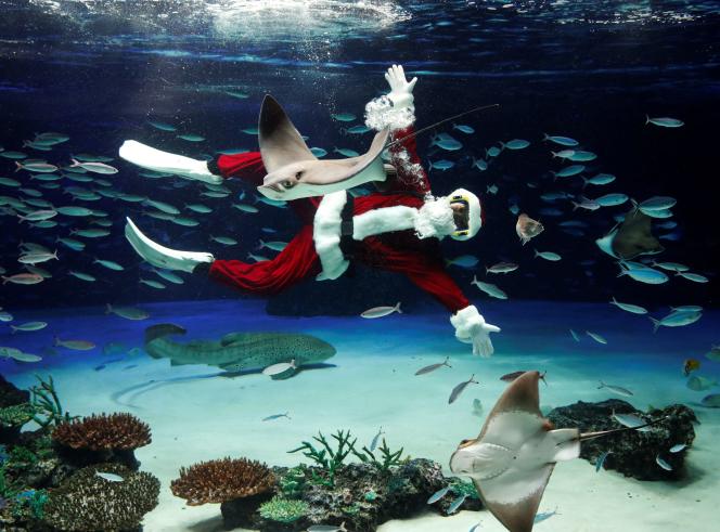 Un plongeur en costume de Père Noël, au Sunshine Aquarium de Tokyo, le 22 décembre 2021.