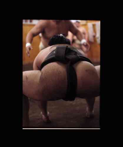 Un rikishi opposé au champion Sokokurai.