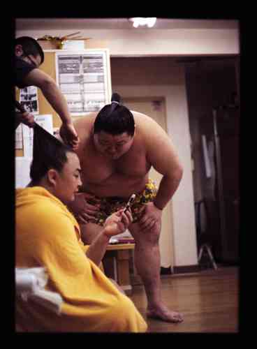 Recruté en Chine, Sokokurai (entre les mains du coiffeur de l’écurie) est l’unique membre d’Arashio à combattre en première division professionnelle. Ce grade lui vaut plusieurs privilèges, dont celui de s’installer à table le premier.