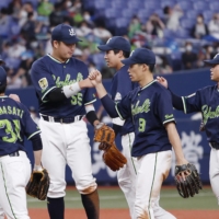 The Swallows celebrate after their win over the Buffaloes in Osaka on Wednesday. | KYODO