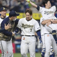 Masataka Yoshida (7) celebrates with his teammates after the Buffaloes' win over the Swallows in Game 5 of the Japan Series on Thursday | KYODO