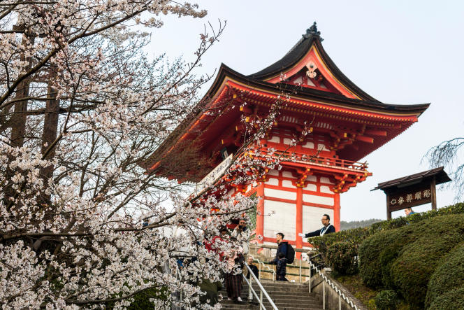 Des fleurs de cerisier sakura pendant le hanami au temple bouddhiste Kiyomizu-dera à Kyoto, Japon.