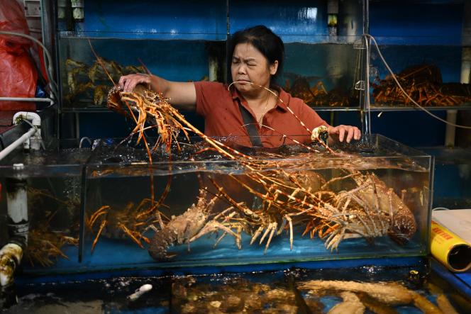 Au marché aux poissons de Pékin, le 24 août 2023, jour de l’interdiction par la Chine de toutes les importations de fruits de mer japonais. 