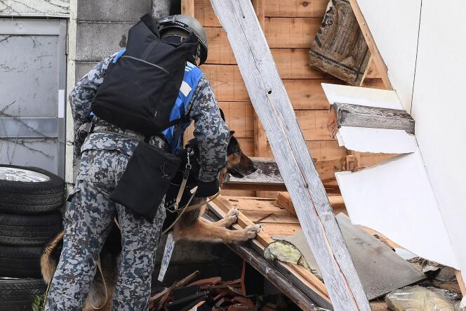 Un chien aide à la recherche de survivants du tremblement de terre dans la ville de Wajima, au Japon, le 5 janvier 2024.